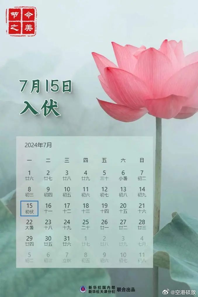 第504页